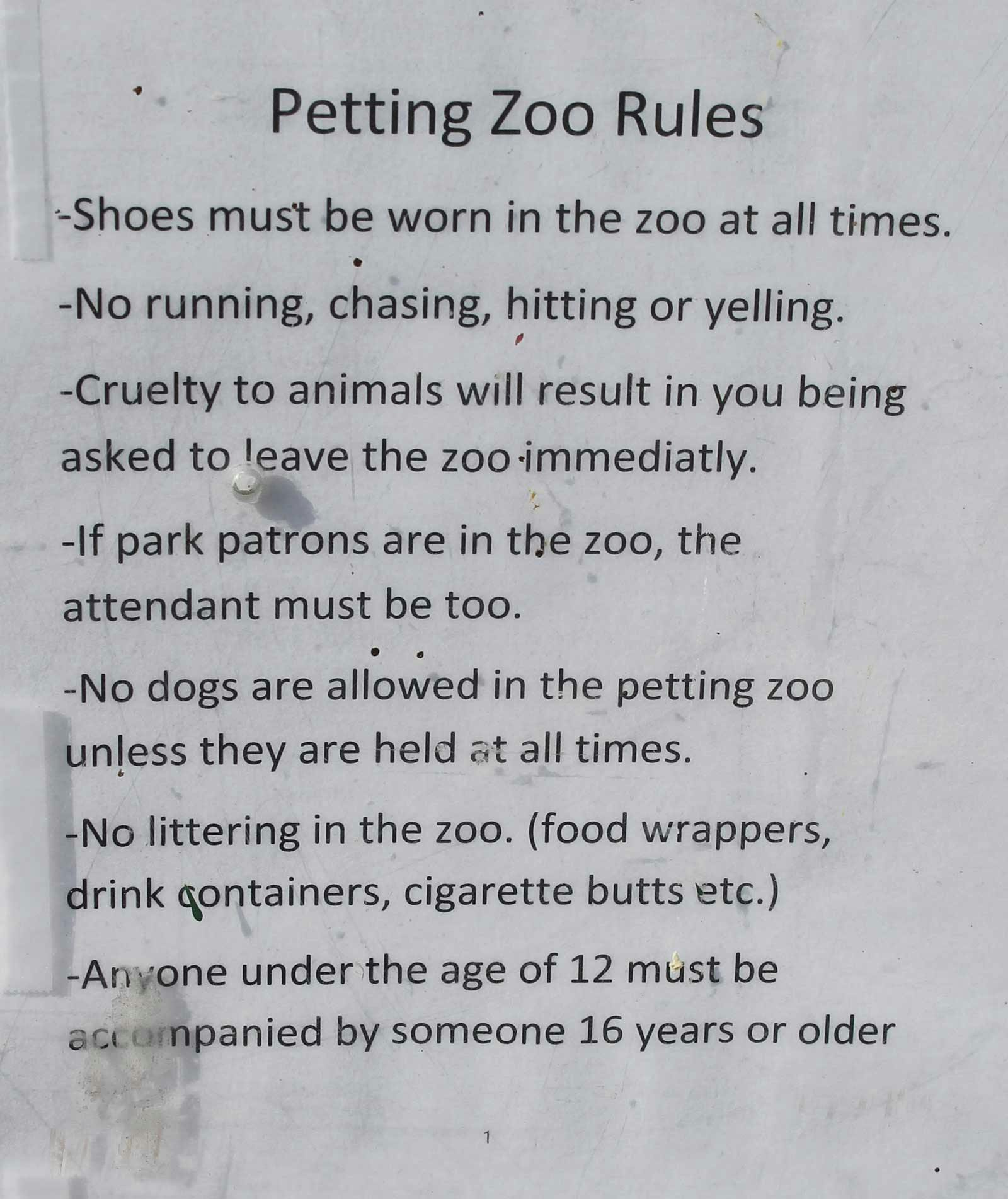 Petting Zoo Image