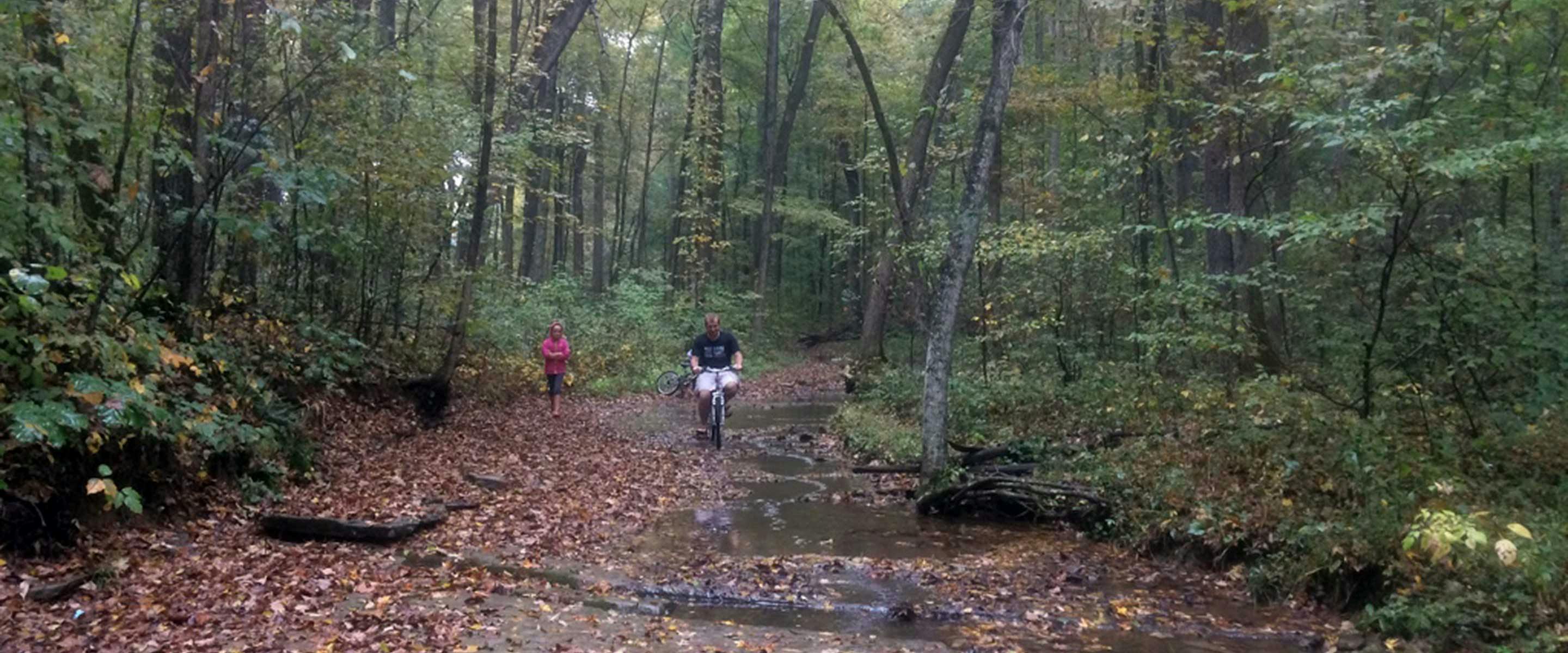 Bikes on leaf covered trail